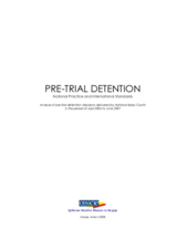 Analysis of pre-trial detention orders
